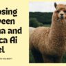 LLama vs Alpaca Ai Model